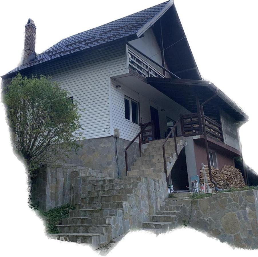 Diana'S Holiday Home Podu Dimbovitei 外观 照片